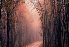 海博体育：阿斯：姆巴佩需決定是否參加奧運會，因賽程與皇馬美國季前賽衝突！.