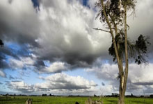海博体育：[亚冬会]高山滑雪——持续登攀 任重道远.