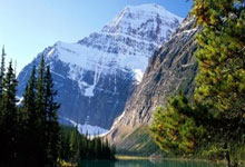 海博体育：思考专用小棉袄16小时前.