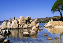 姆巴佩后巴黎一哥：2025年五大联赛进球最多的，是巴萨抛弃之人巴黎圣日耳曼客场挑战里昂，凭借登贝莱的出色表现，3-2险胜对手，保持了连胜态势，夺冠无忧。登贝莱近期在法甲赛场上表现出色，进球数累计16粒之多，成为五大联赛进球榜首位。他的出色表现得到了外界和球迷的赞赏，也让他在巴黎圣日耳曼队中重新找....